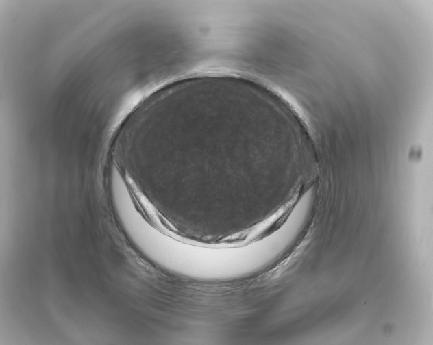 X0000093751461200711131114