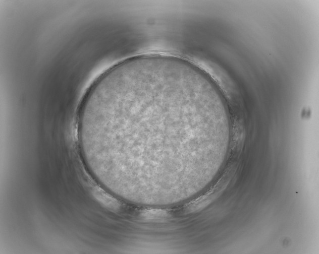 X0000093751462200711131114