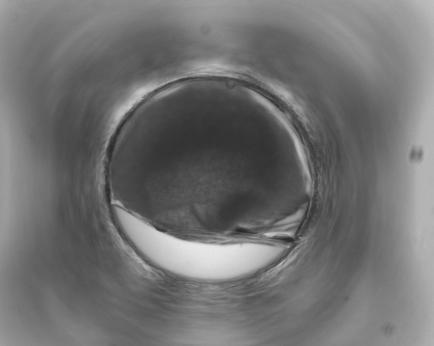 X0000093751463200711131114