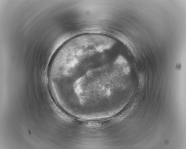 X0000093751466200711131113