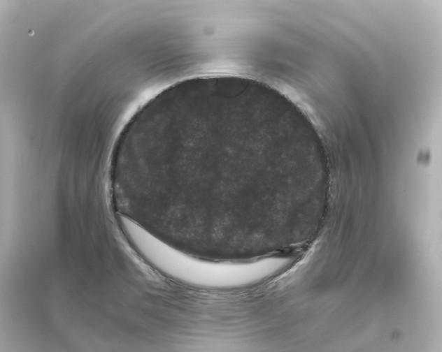 X0000093751469200711131113