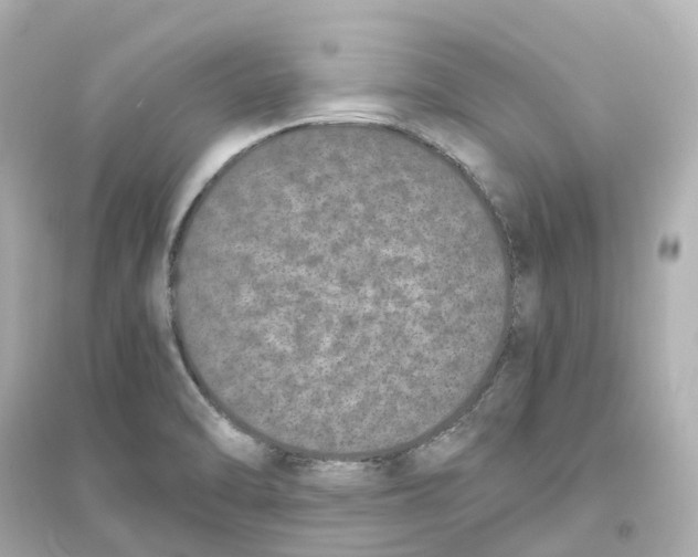 X0000093751470200711131113