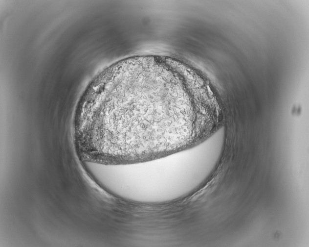 X0000093751471200711131113