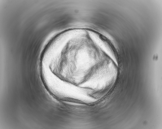 X0000093751472200711131113