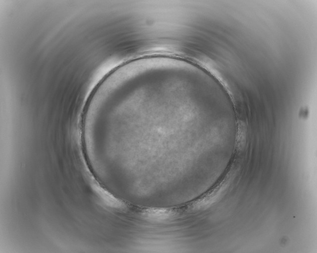 X0000093751474200711131113