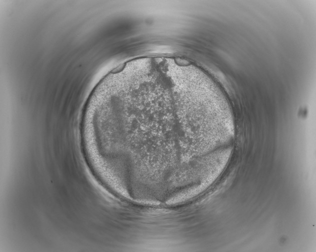 X0000093751475200711131113