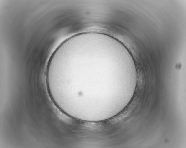 X0000093751478200711131113