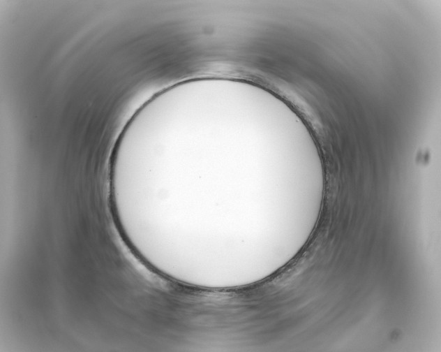 X0000093751479200711131113