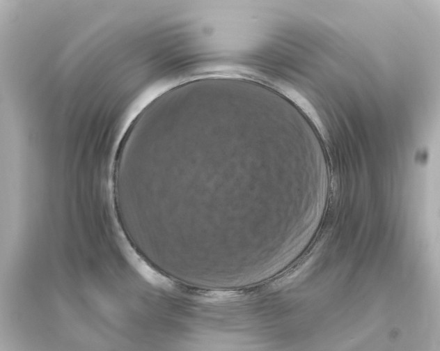 X0000093751482200711131113