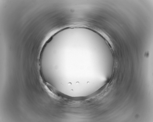 X0000093751485200711131113