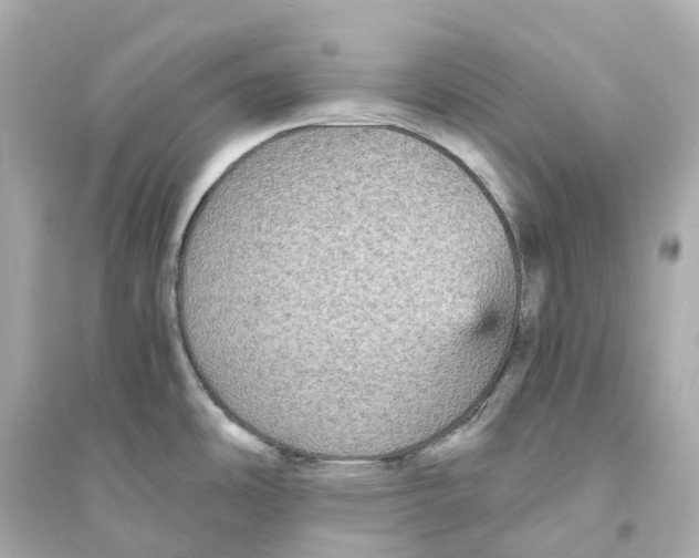 X0000093751486200711131113