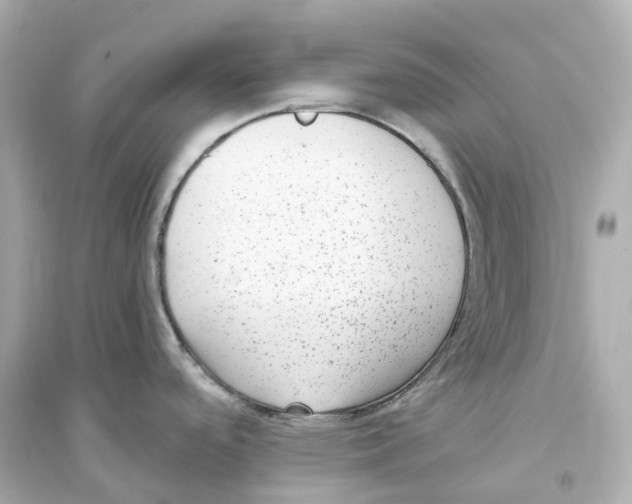 X0000093751488200711131113