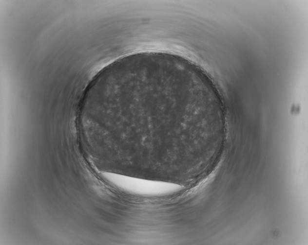 X0000093751497200711131113