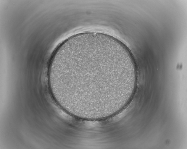 X0000093751498200711131113