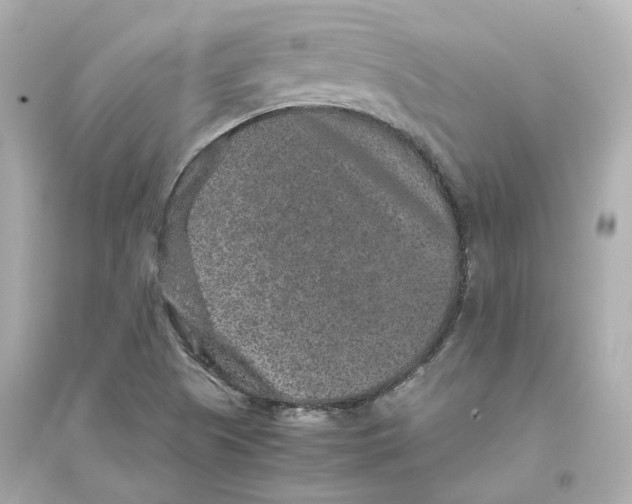 X0000093751505200711131113