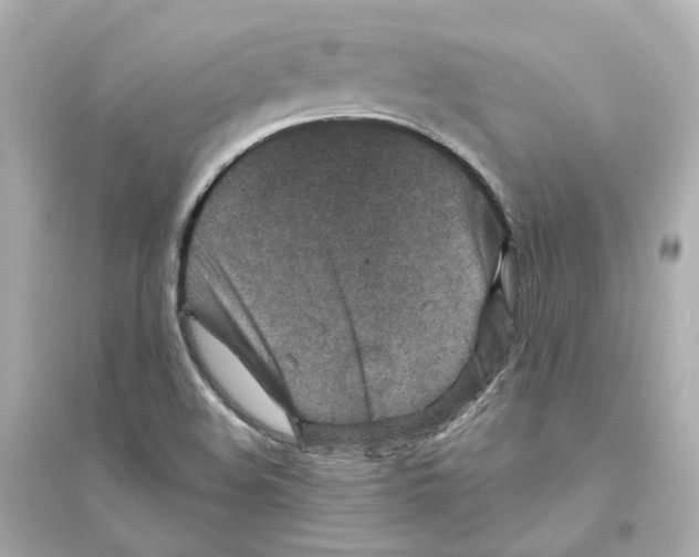 X0000093751508200711131113