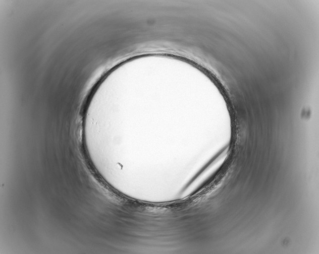 X0000093751509200711131113