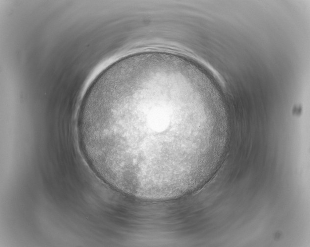 X0000093751514200711131113