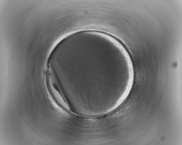 X0000093751515200711131113