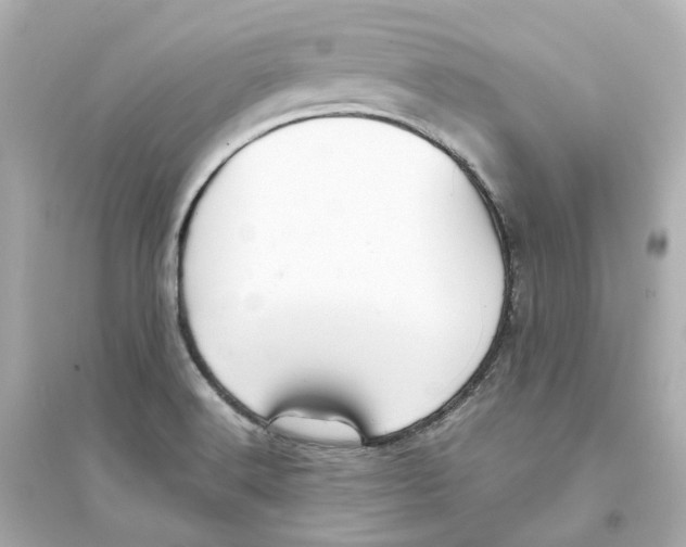 X0000093751516200711131113