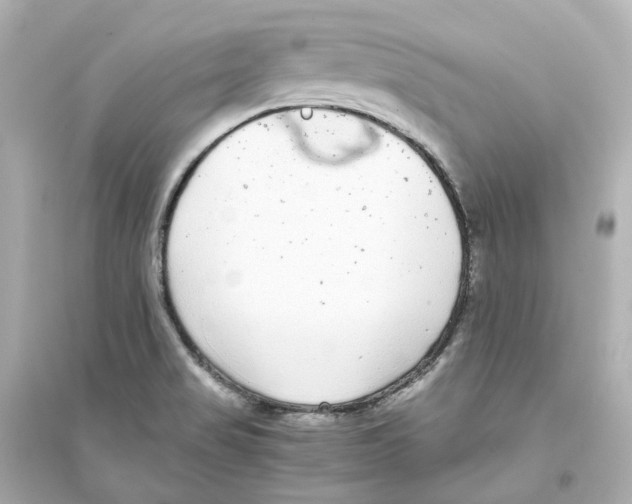 X0000093751517200711131113