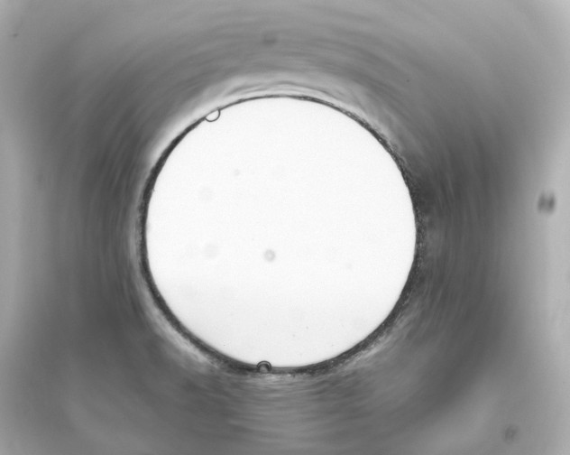 X0000093751518200711131113