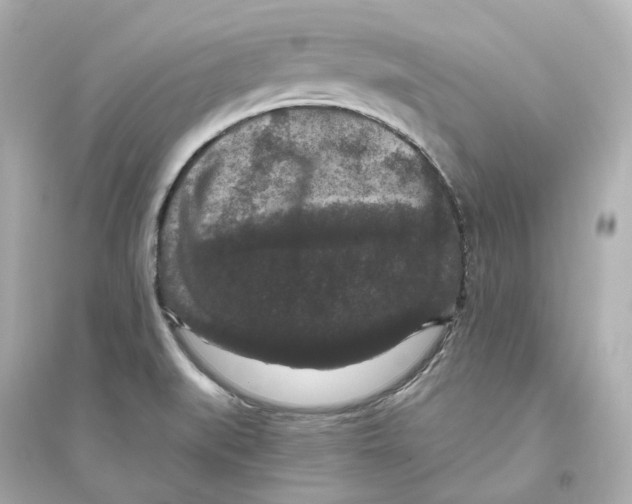 X0000093751519200711131113