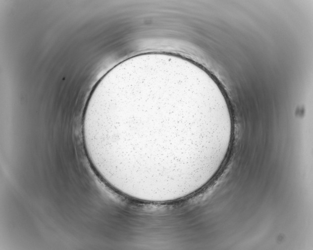 X0000093751521200711131113