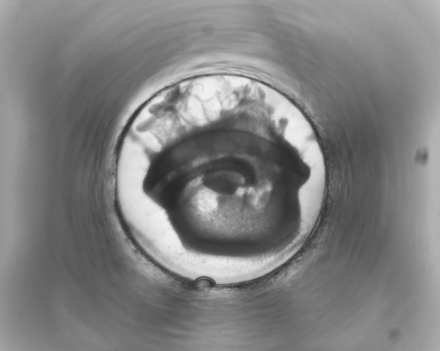 X0000093751522200711131113