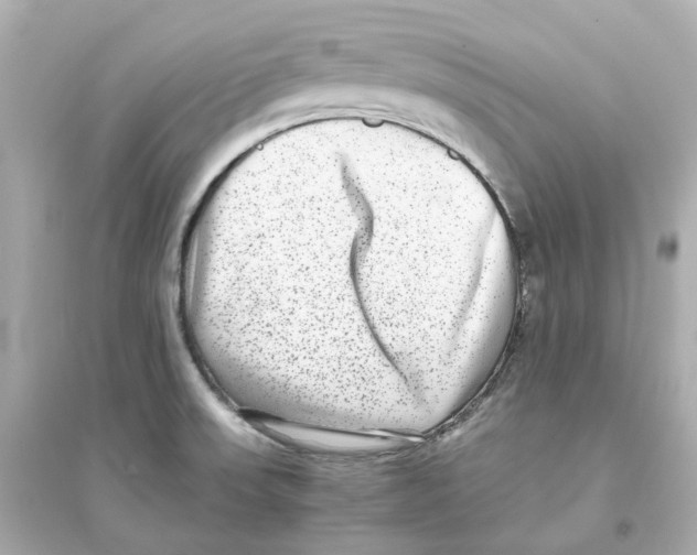 X0000093751523200711131113