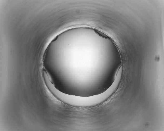 X0000093751524200711131113