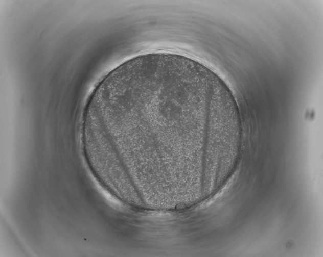 X0000093751525200711131113