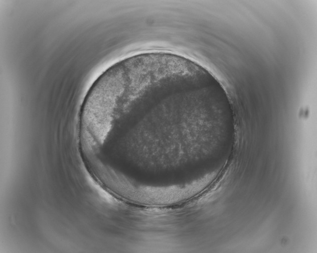 X0000093751527200711131113