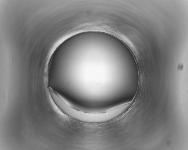 X0000093751528200711131113