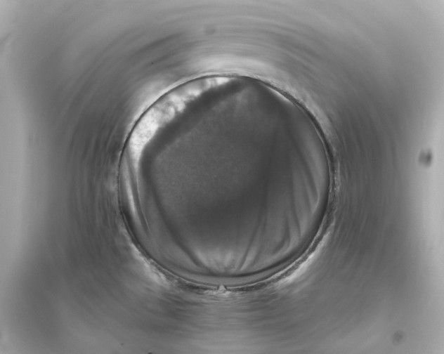 X0000093751529200711131113