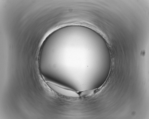 X0000093751530200711131113