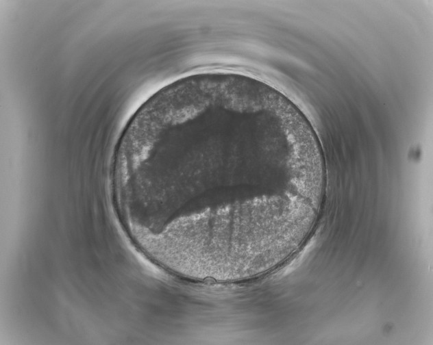 X0000093751533200711131113