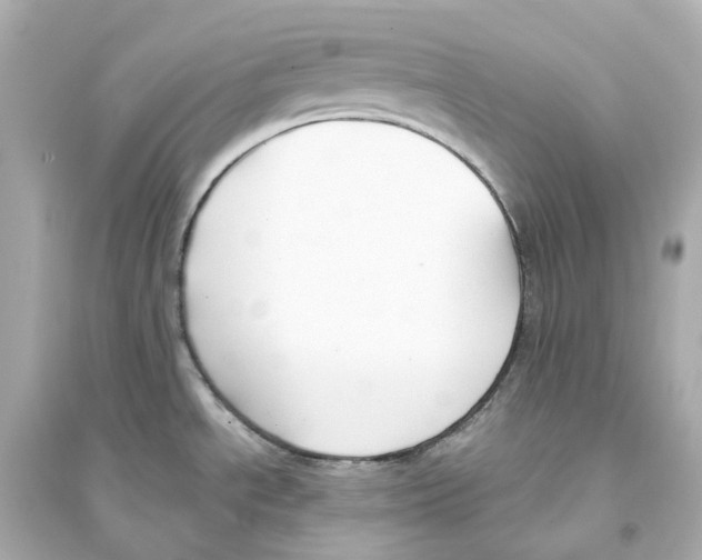 X0000093751534200711131113