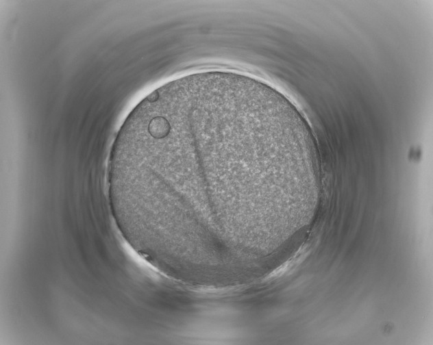 X0000093751535200711131113