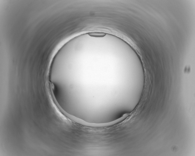 X0000093751536200711131113