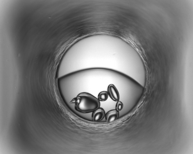 X0000093760001200710160845