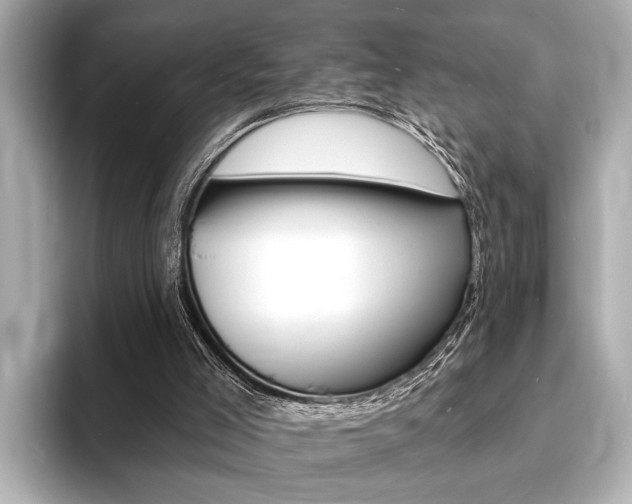 X0000093760005200710160845