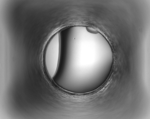 X0000093760008200710160845