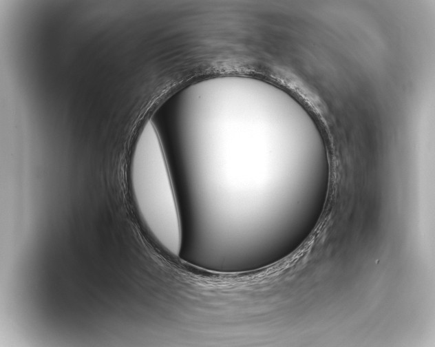 X0000093760009200710160845