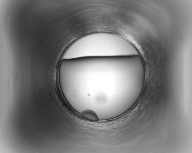 X0000093760010200710160845