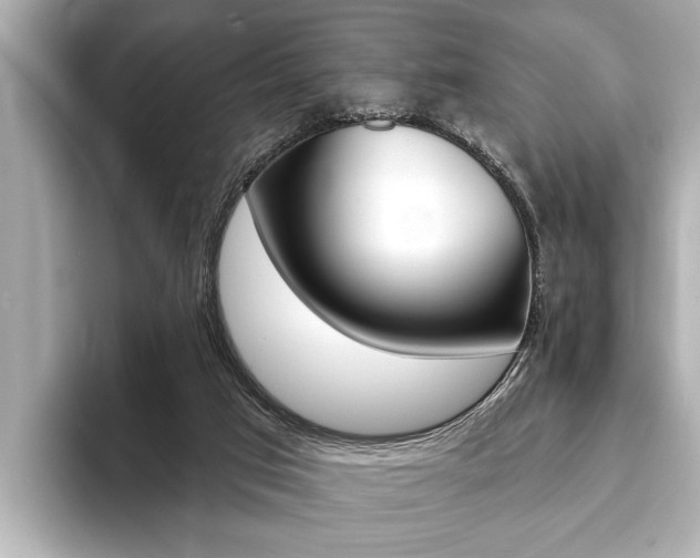 X0000093760017200710160845