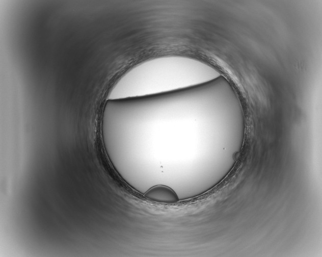 X0000093760018200710160845