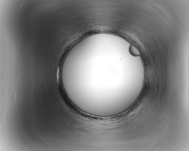 X0000093760024200710160845