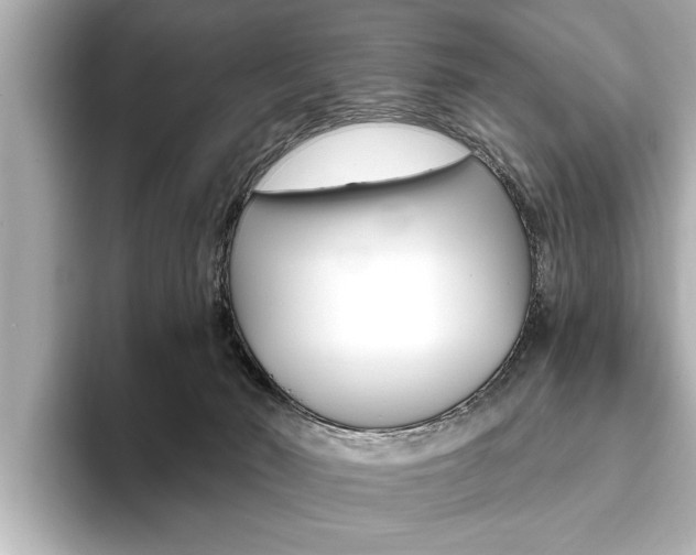 X0000093760030200710160845