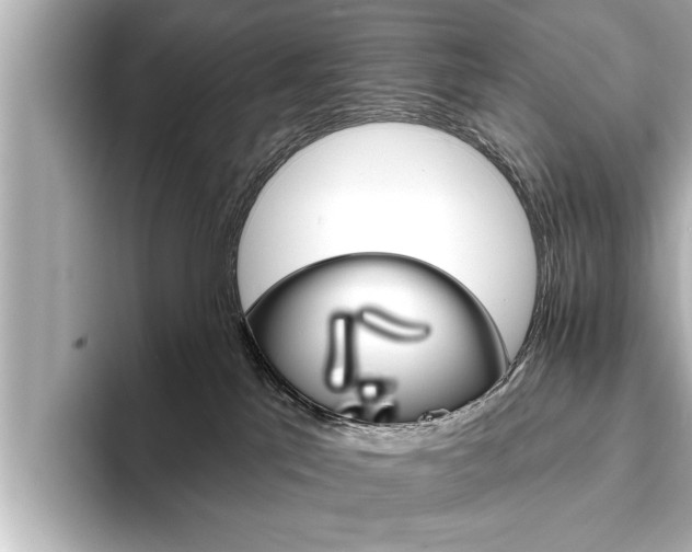 X0000093760041200710160845